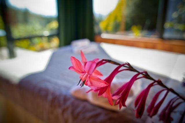 Mapua Chalets Dış mekan fotoğraf